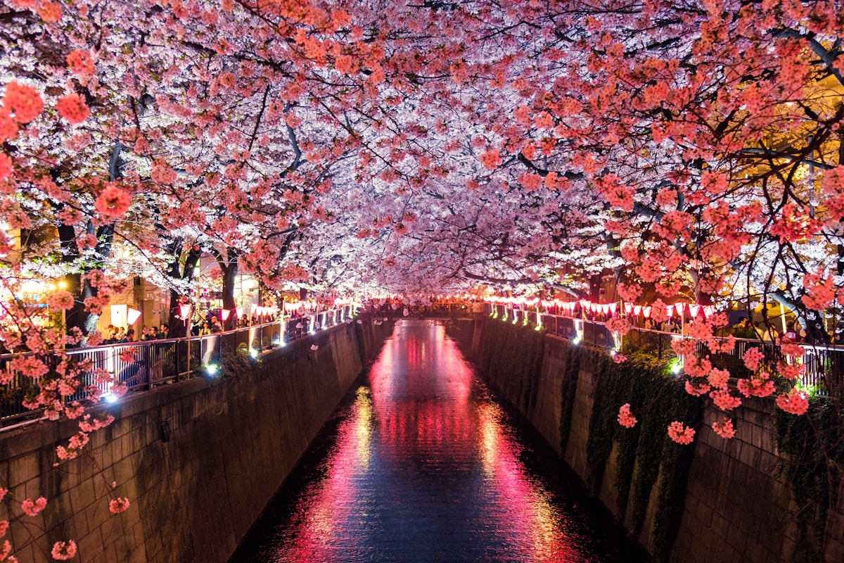 旅先で過ごす静かな時間
