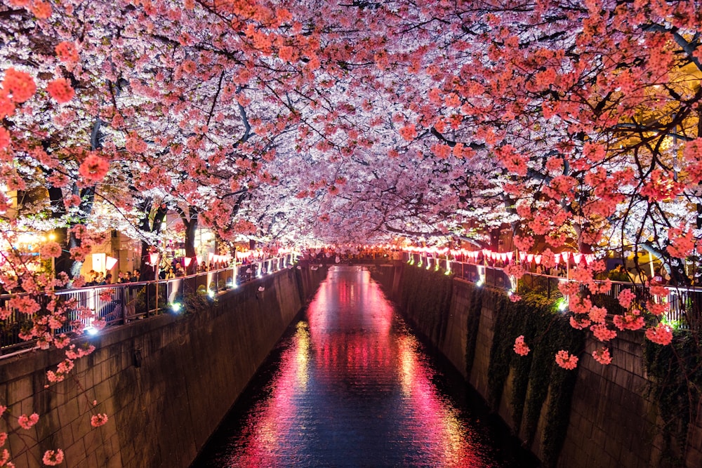 北の旅景色